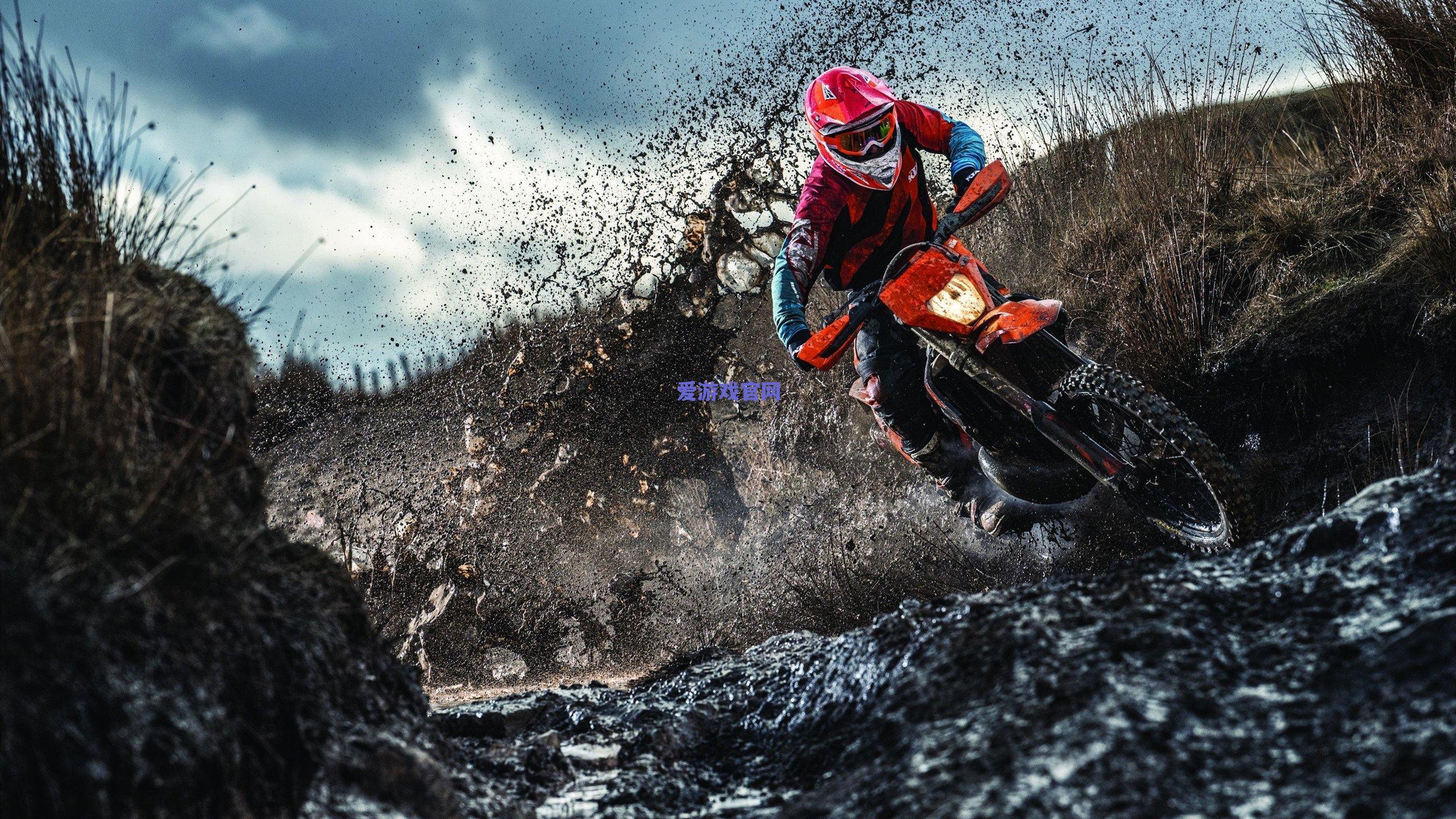 坐拥复赛最强本土后场双星！浙江赢球不骄前程似锦